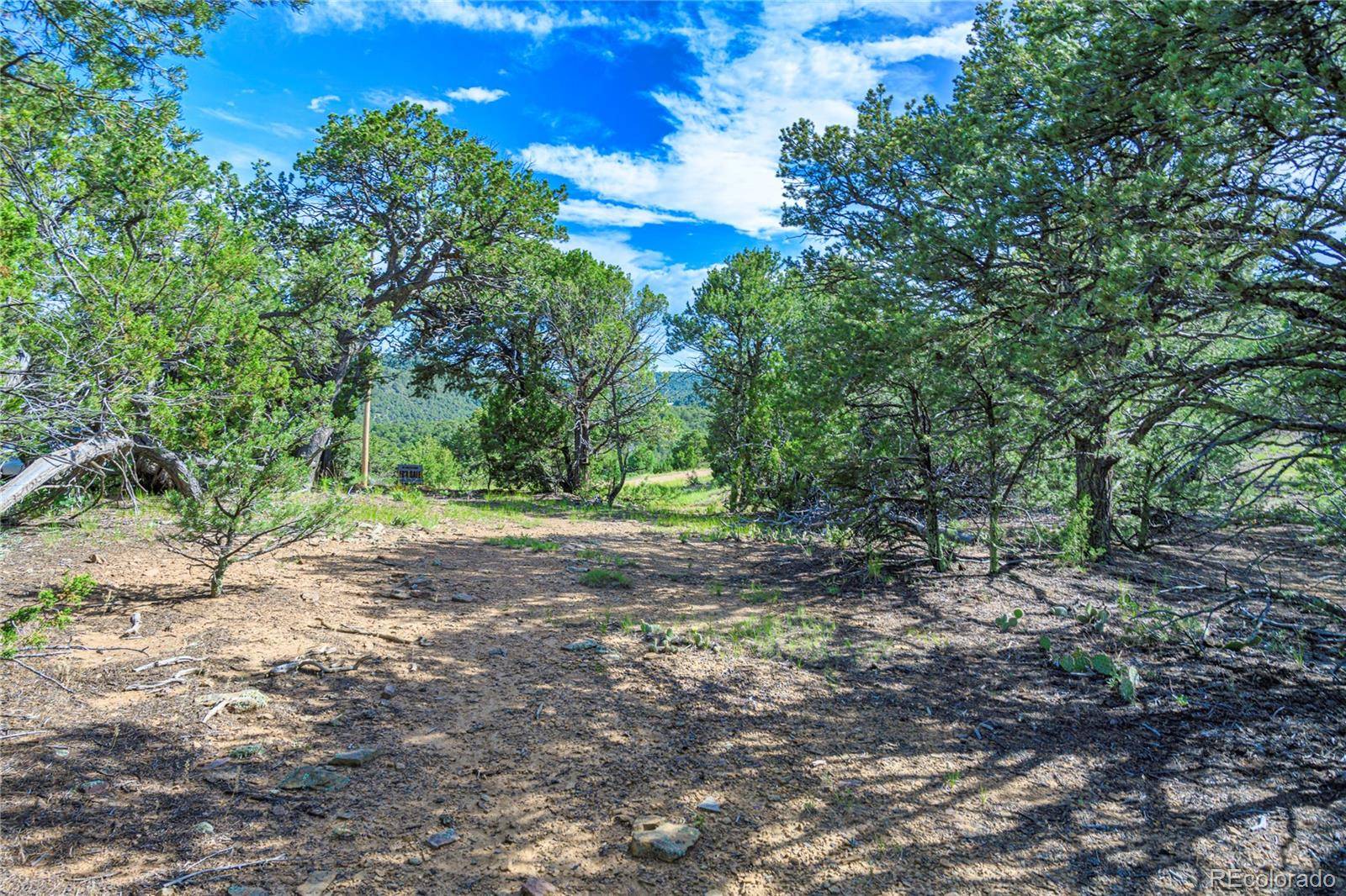 Aguilar, CO 81020,32498 Lower SPUR