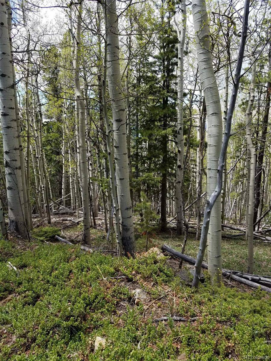 Idaho Springs, CO 80452,000 Hidden Wilderness RD