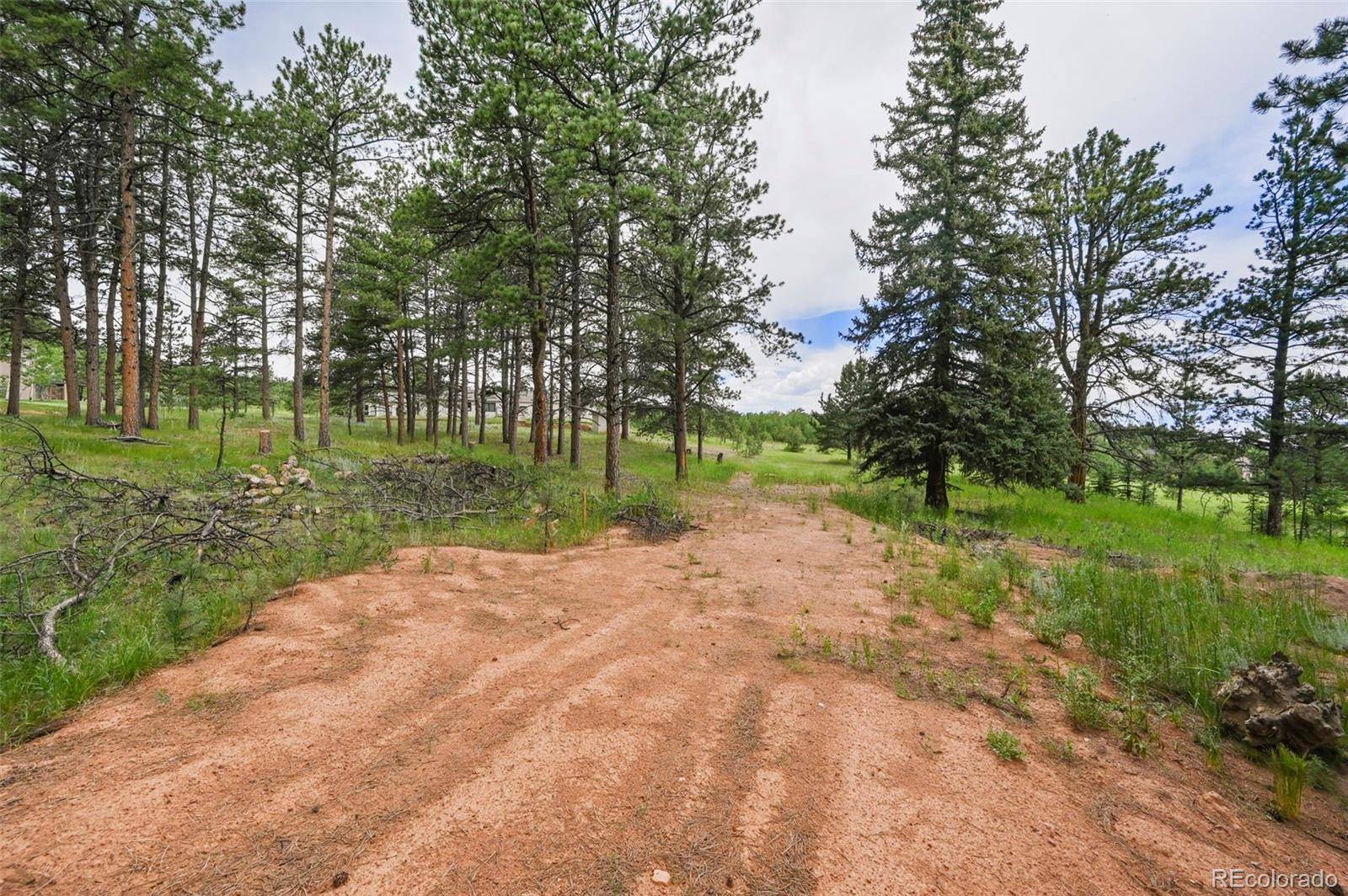 Woodland Park, CO 80863,220 Wildrose CT