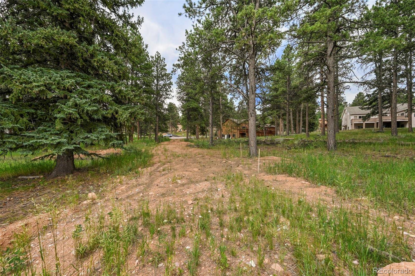 Woodland Park, CO 80863,220 Wildrose CT