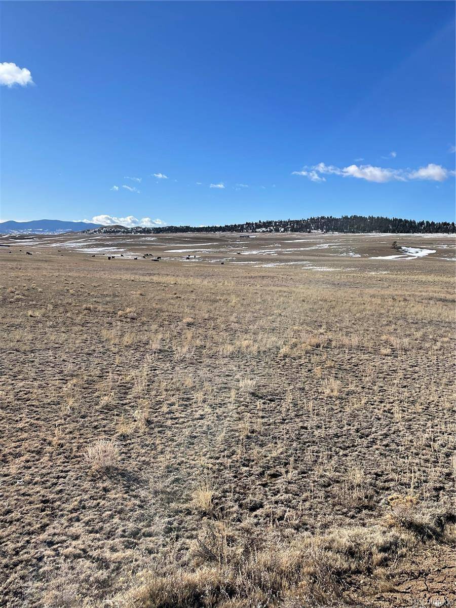 Hartsel, CO 80449,1260 Goldenburg Canyon RD