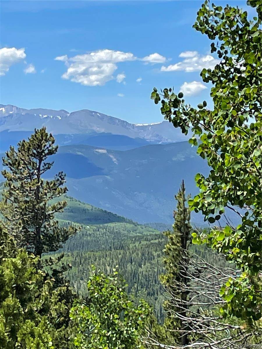 Black Hawk, CO 80422,0 Forest Service 713.1 RD