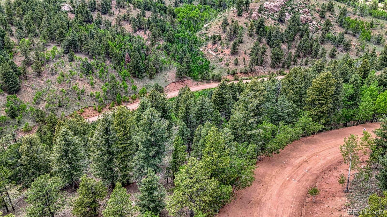 Cripple Creek, CO 80813,626 Little Topsey DR