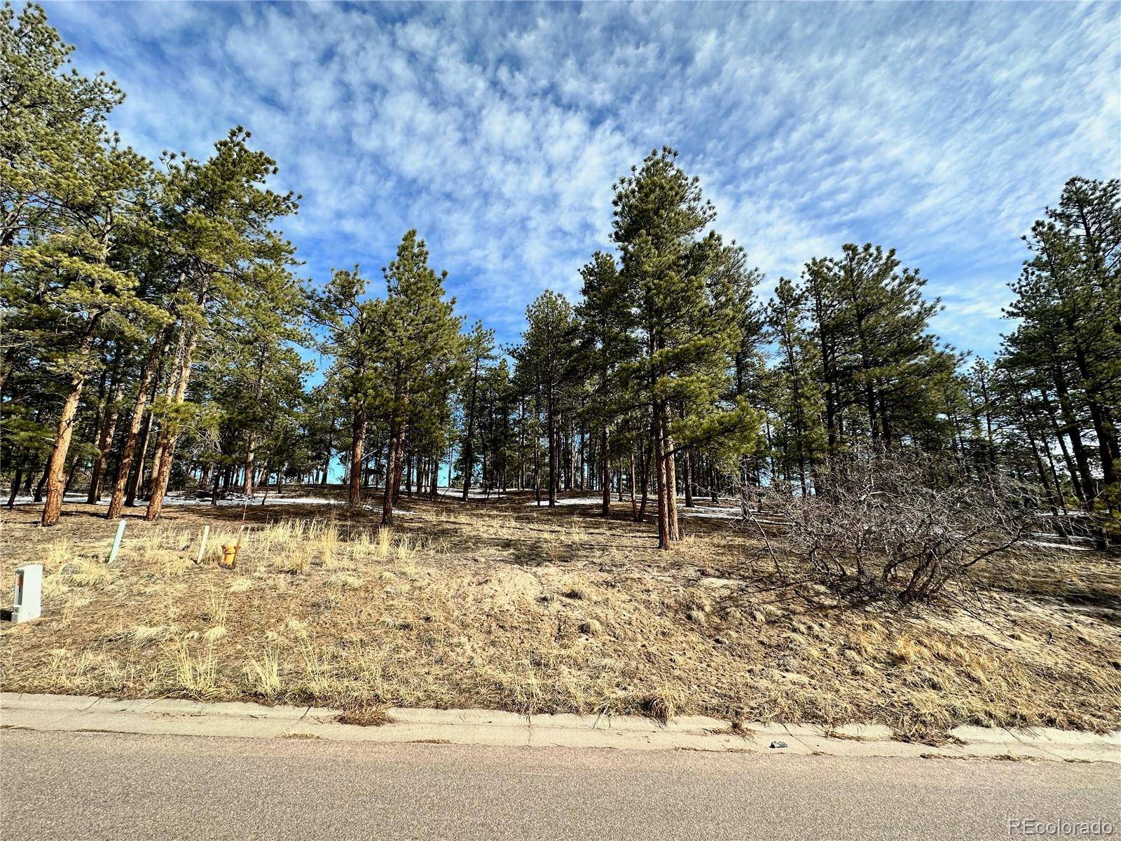 Larkspur, CO 80118,1315 Fremont DR