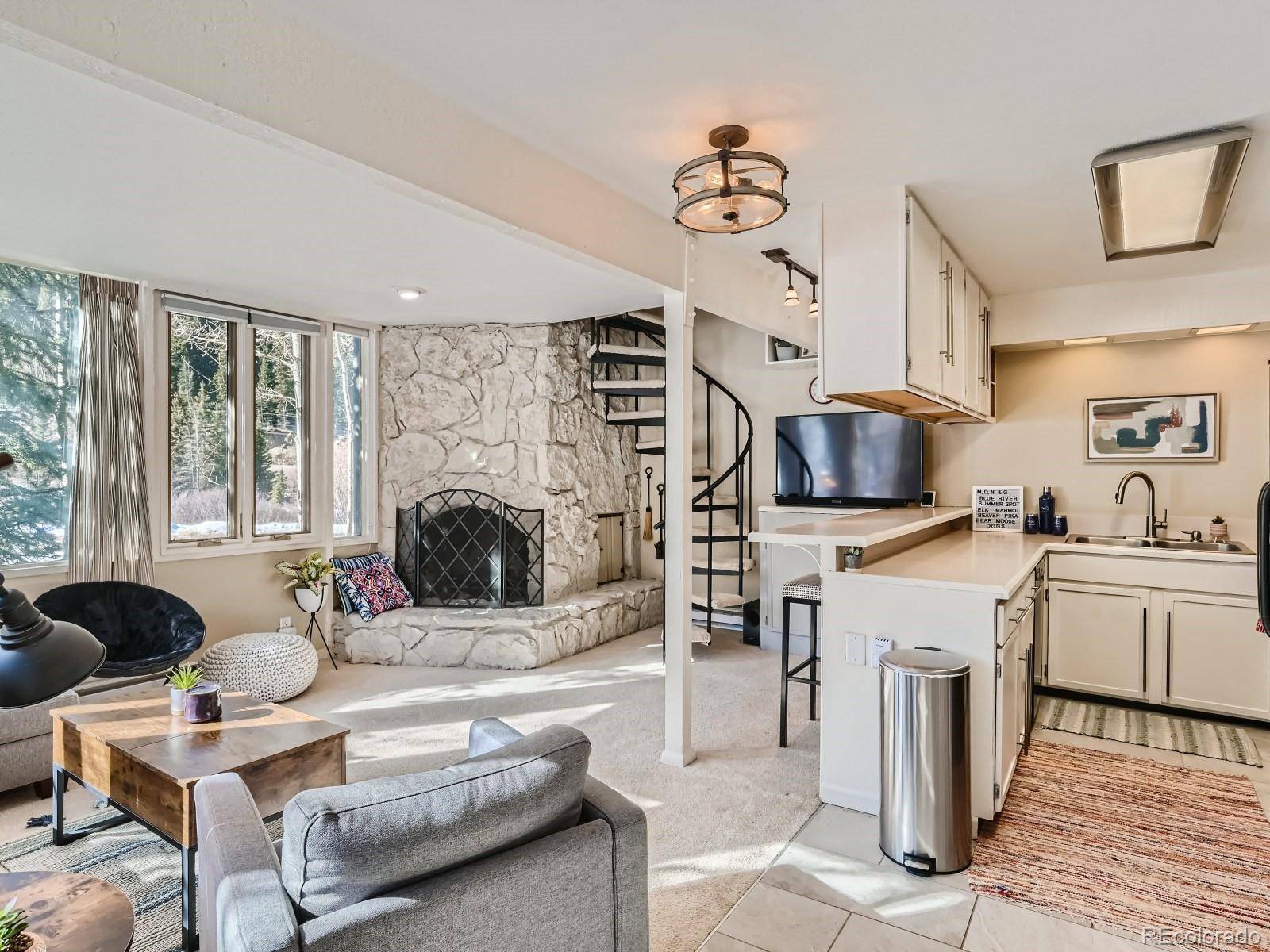 Breckenridge, CO 80424,156 Lance LN #1