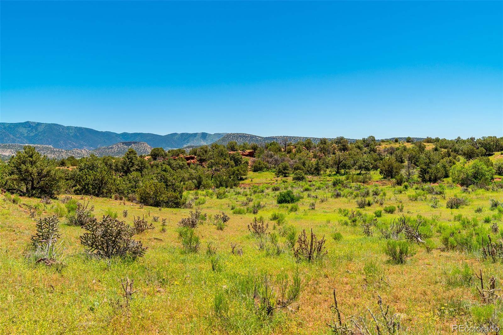 Canon City, CO 81215,Unknown Shaws Park Trail