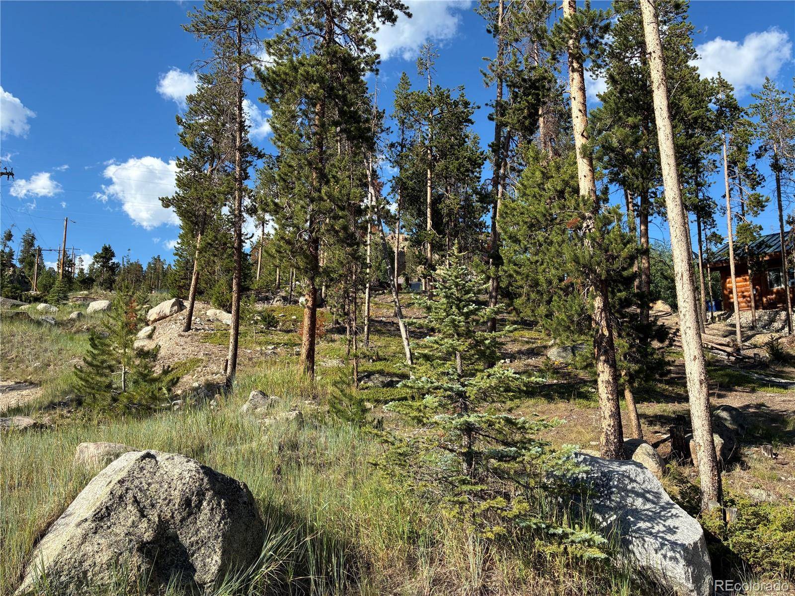 Grand Lake, CO 80447,110 Hancock ST