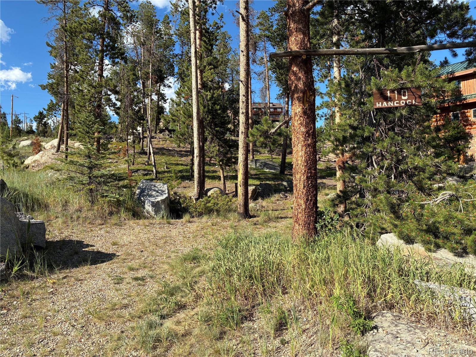 Grand Lake, CO 80447,110 Hancock ST