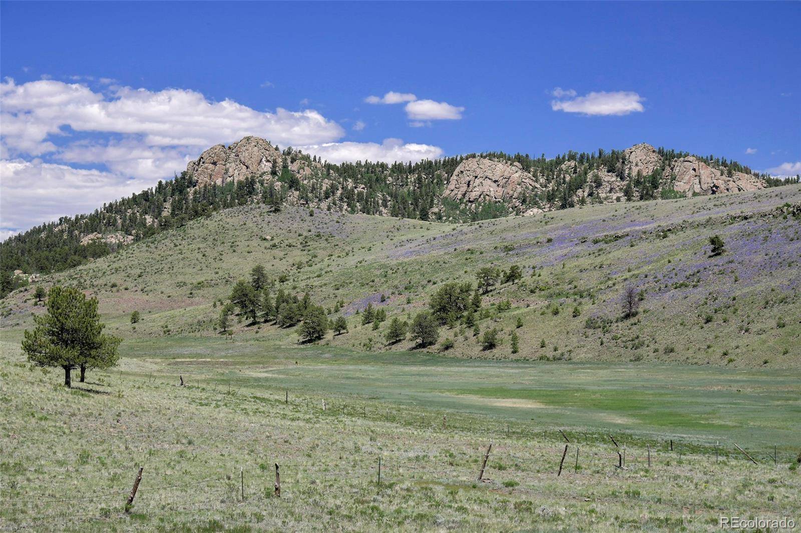 Guffey, CO 80820,294 Wrights LN