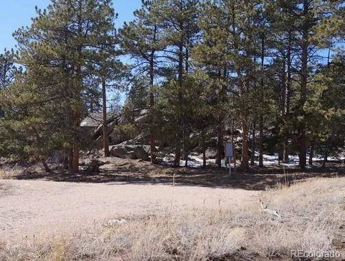 Red Feather Lakes, CO 80545,121 Piney Knolls DR