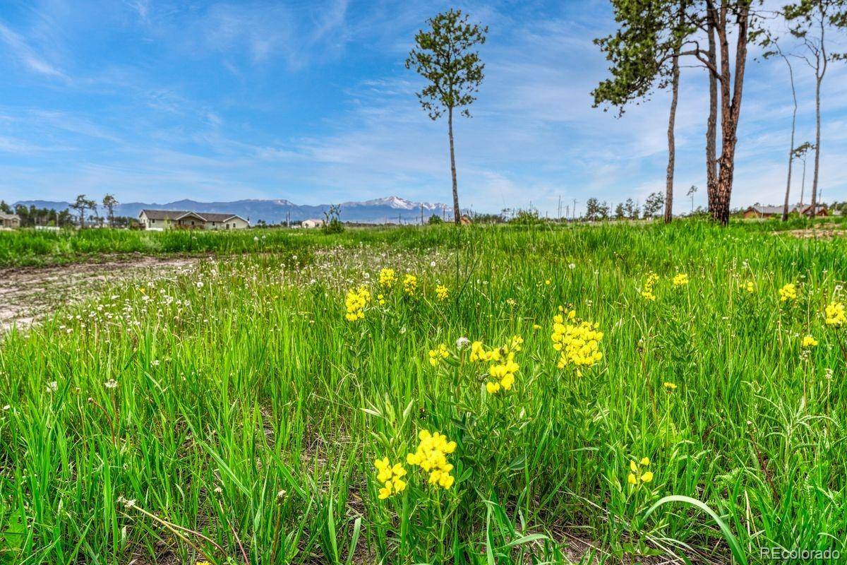 Colorado Springs, CO 80908,6425 Vessey RD