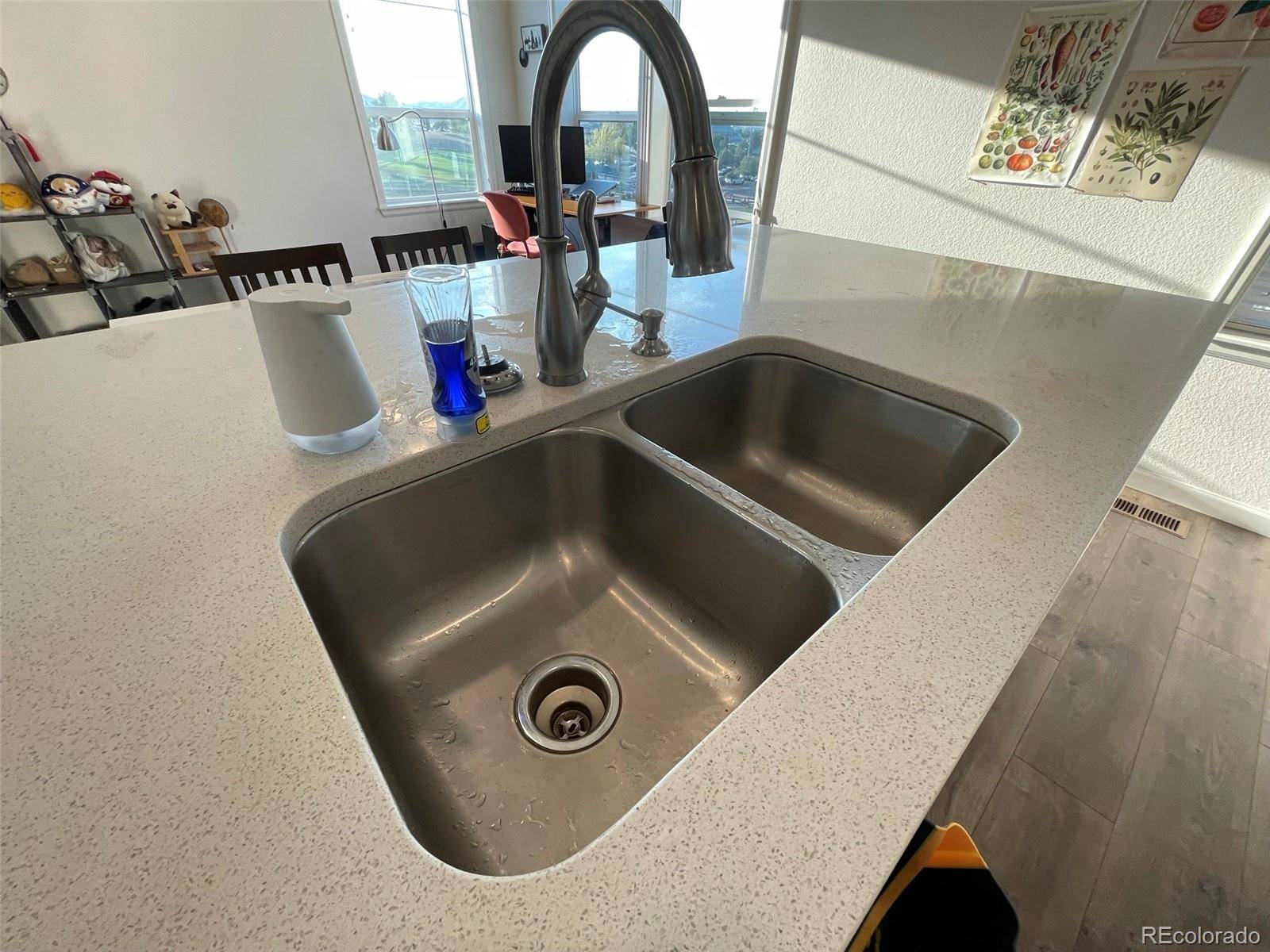 Castle Rock, CO 80104,1584 Castle Creek CIR