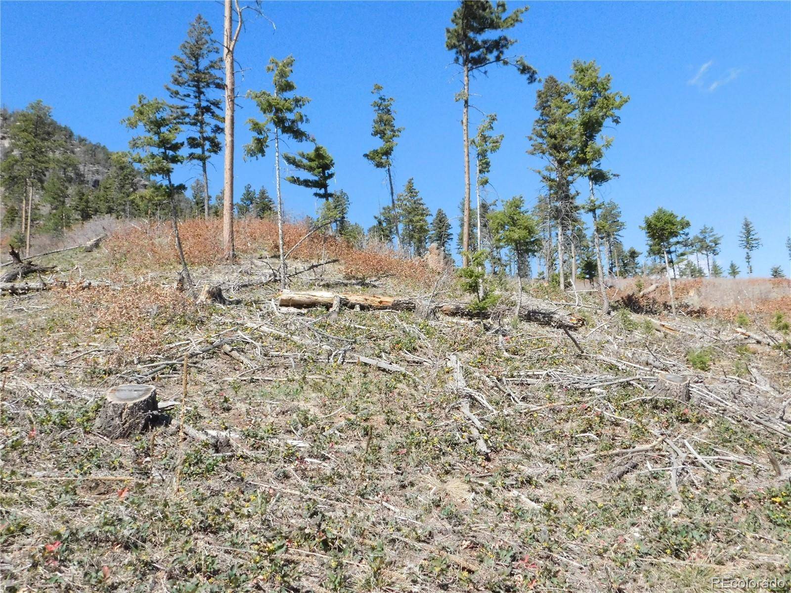 Larkspur, CO 80118,8249 Yuma CIR