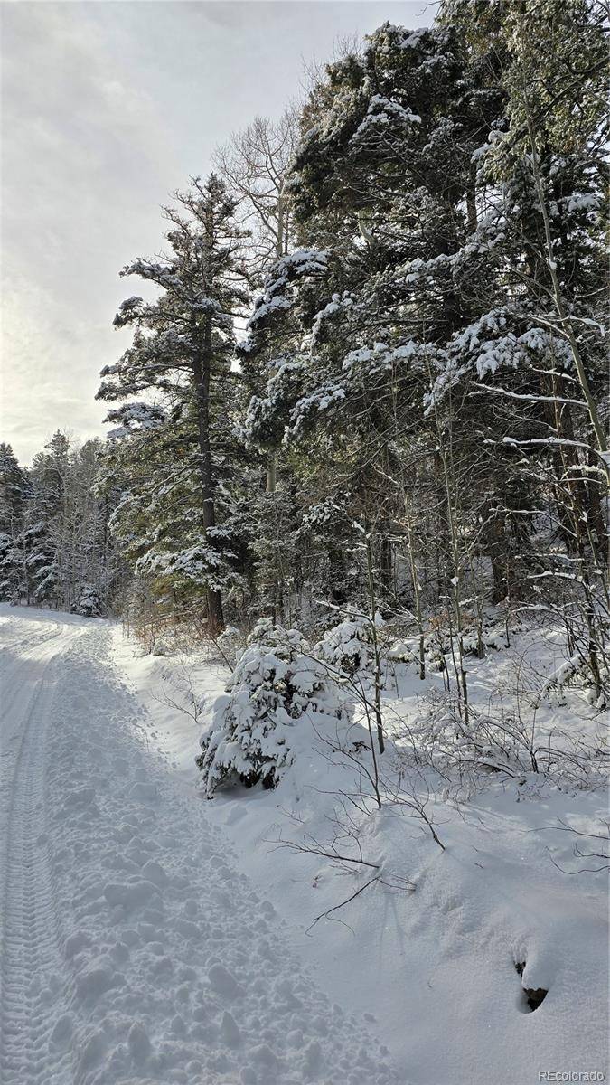 Fort Garland, CO 81133,Lot 5540 Joy RD