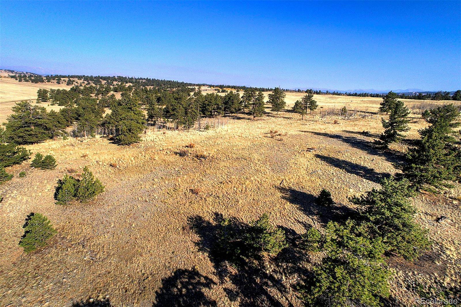 Hartsel, CO 80449,9128B Elkhorn RD