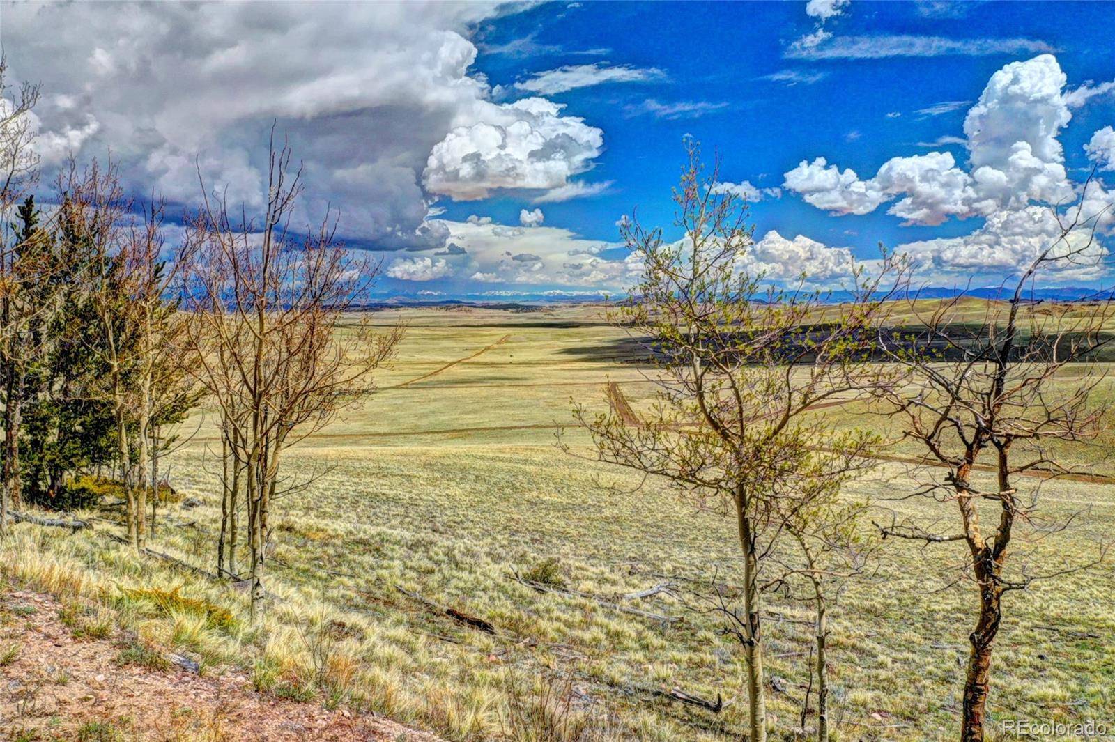 Hartsel, CO 80449,00 Shtaha RD