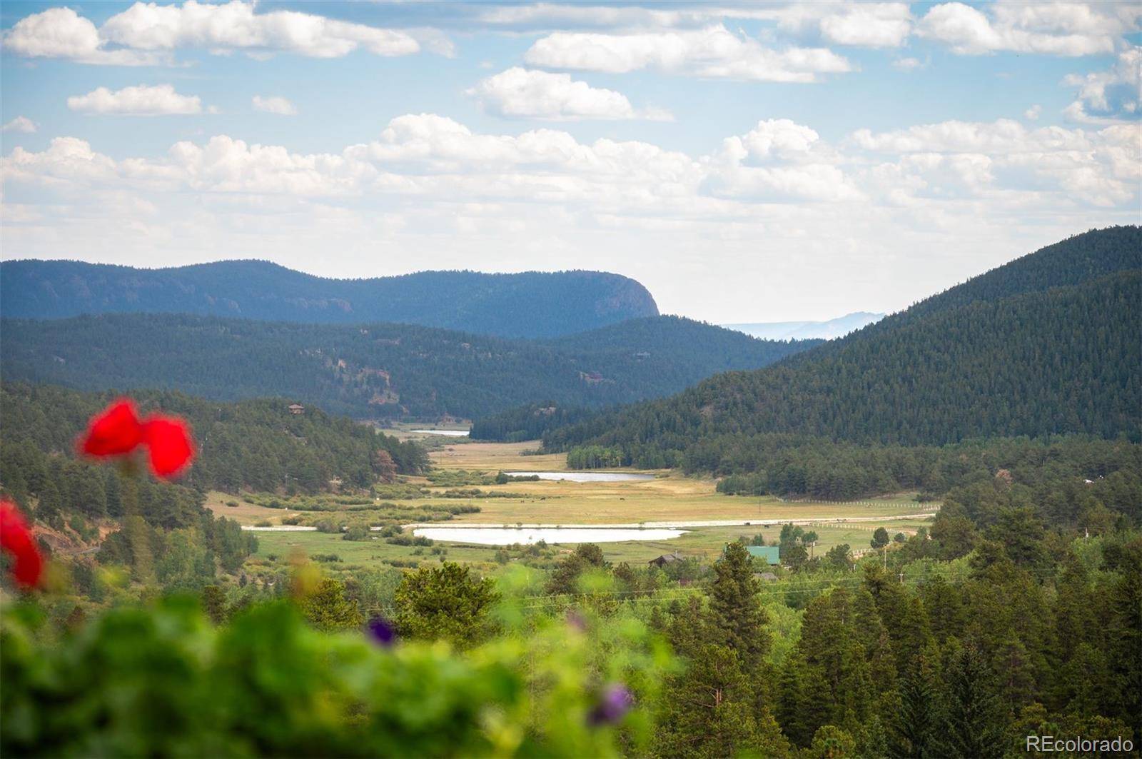 Bailey, CO 80421,146 Road P61