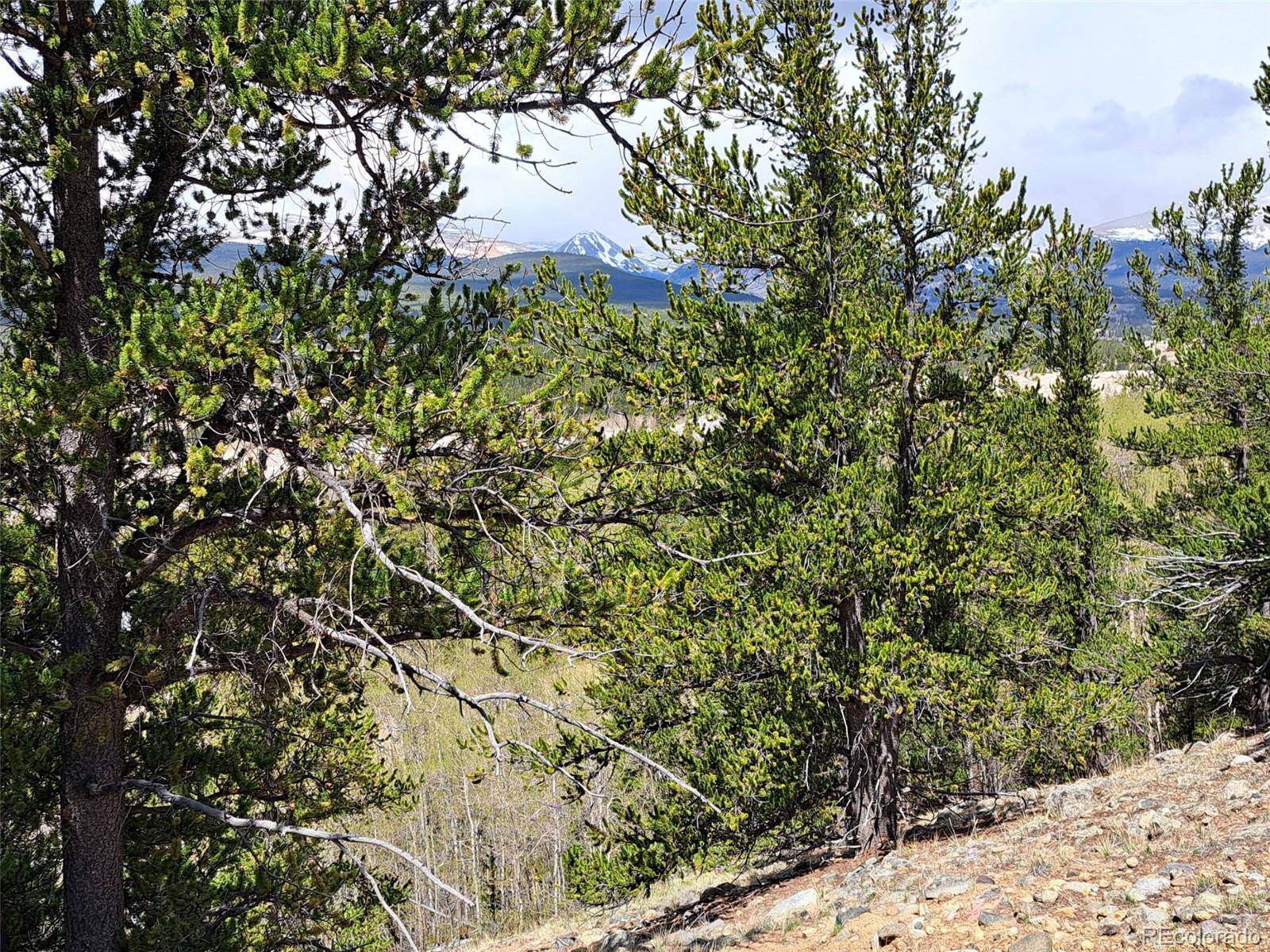 Fairplay, CO 80440,00 Ponderosa RD