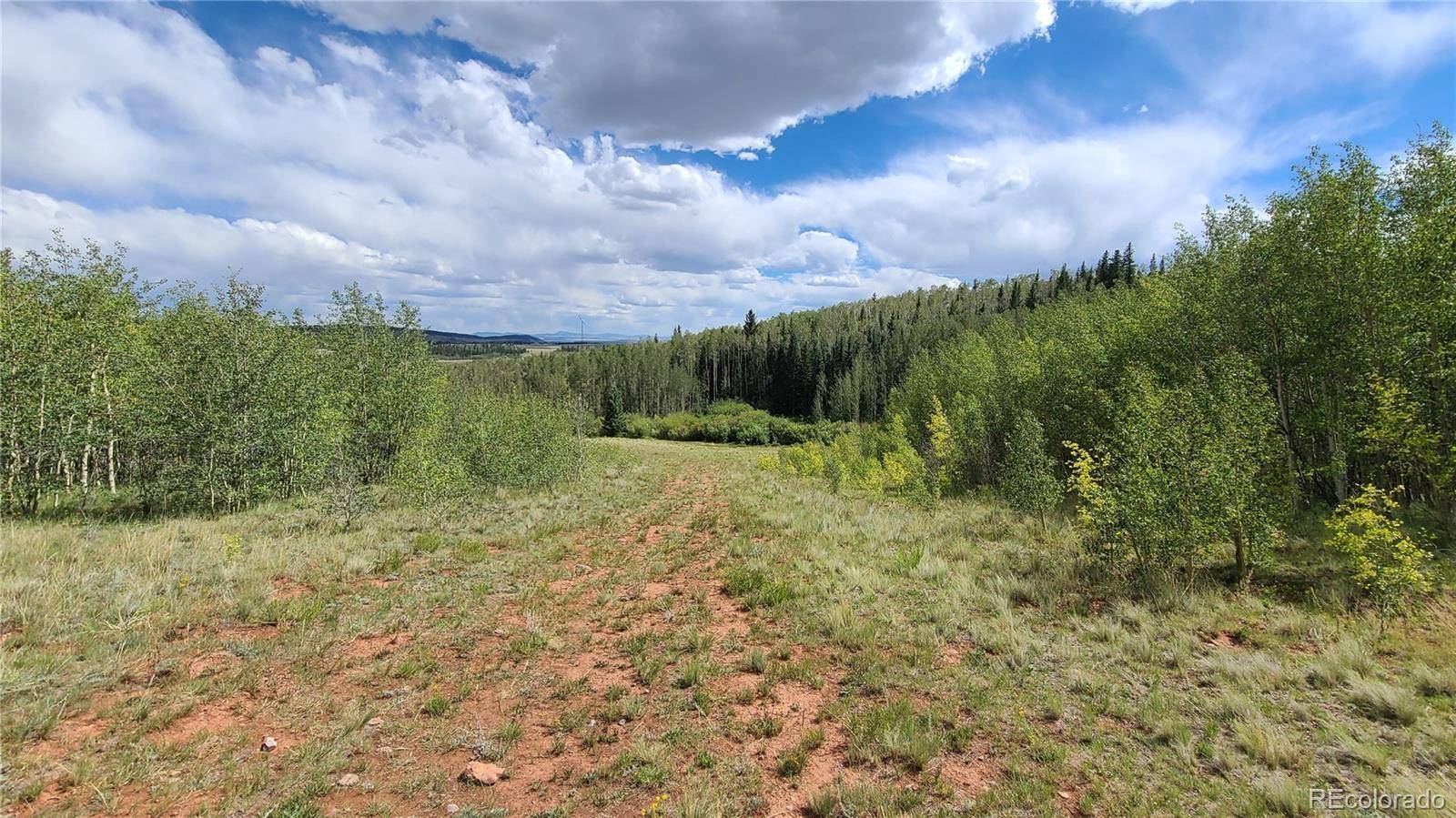 Fairplay, CO 80440,562 Palmer Peak DR