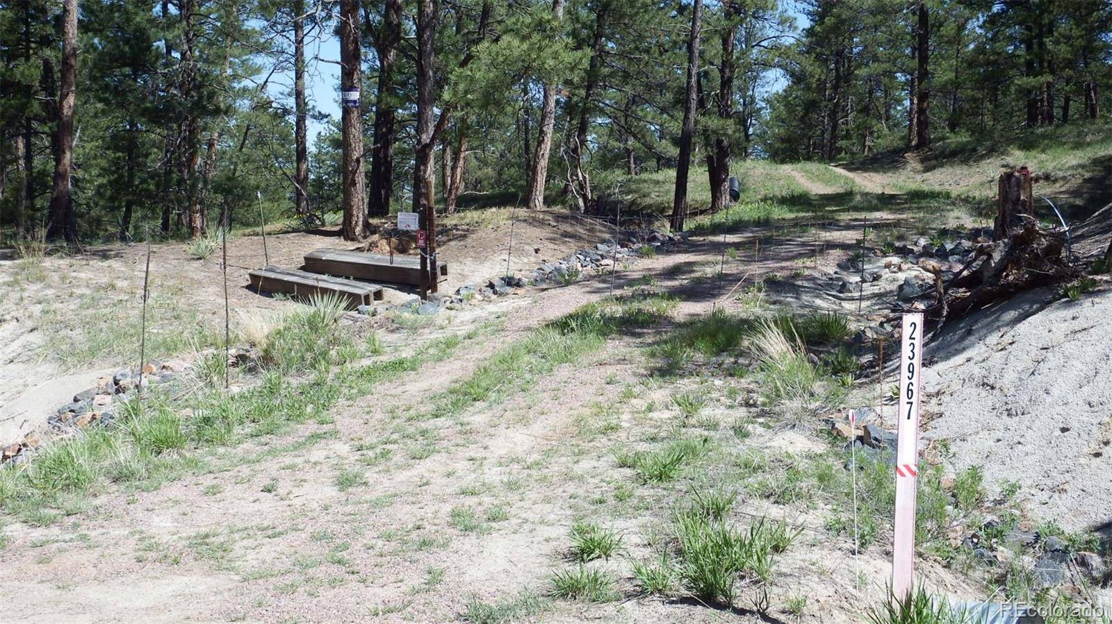 Agate, CO 80101,23967 High Timber LN