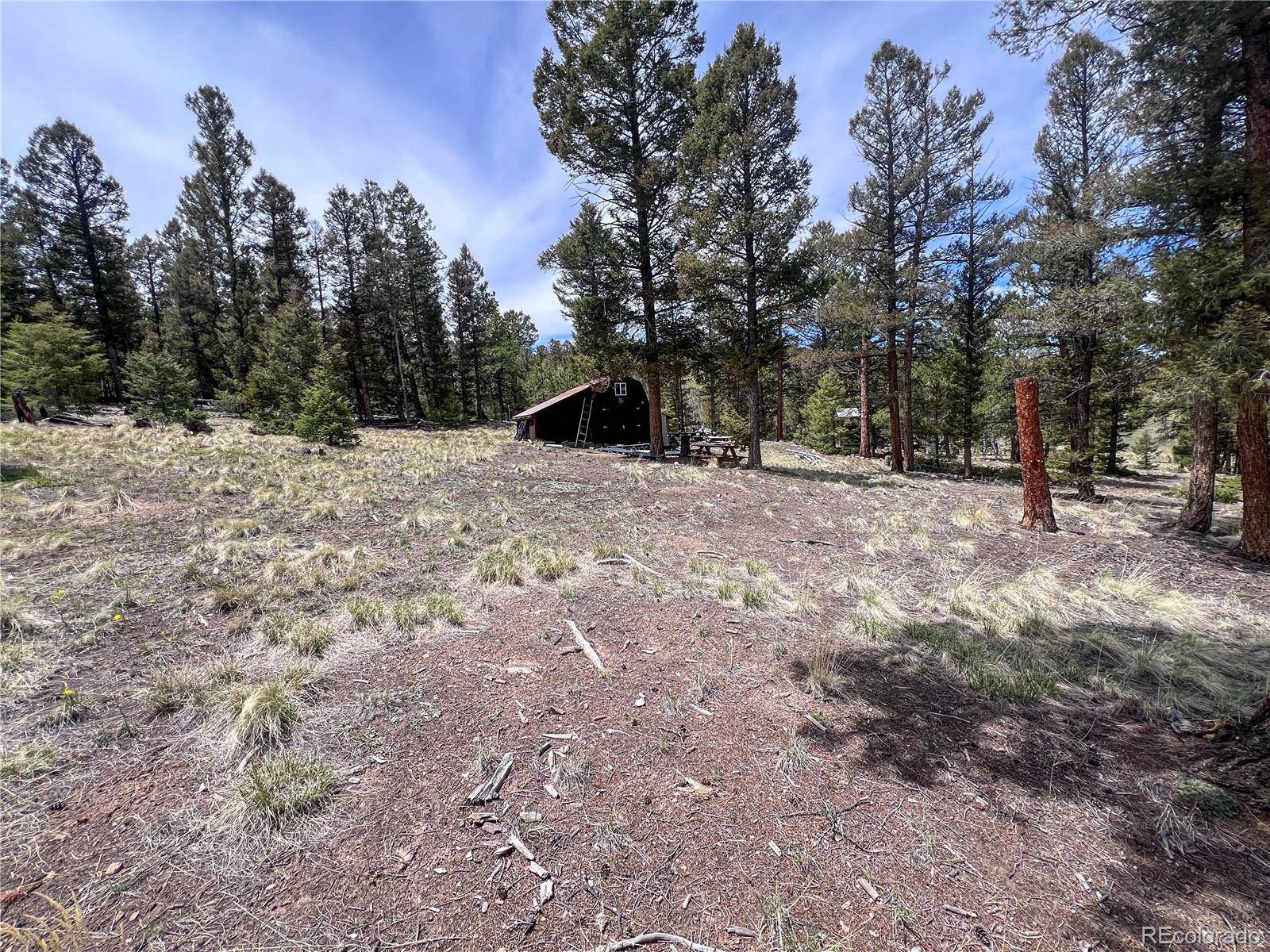 Hartsel, CO 80449,1667 Singletree RD