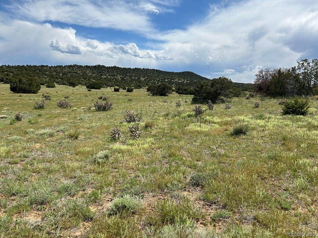 Walsenburg, CO 81089,Lot 160 Twin Lakes Ranches