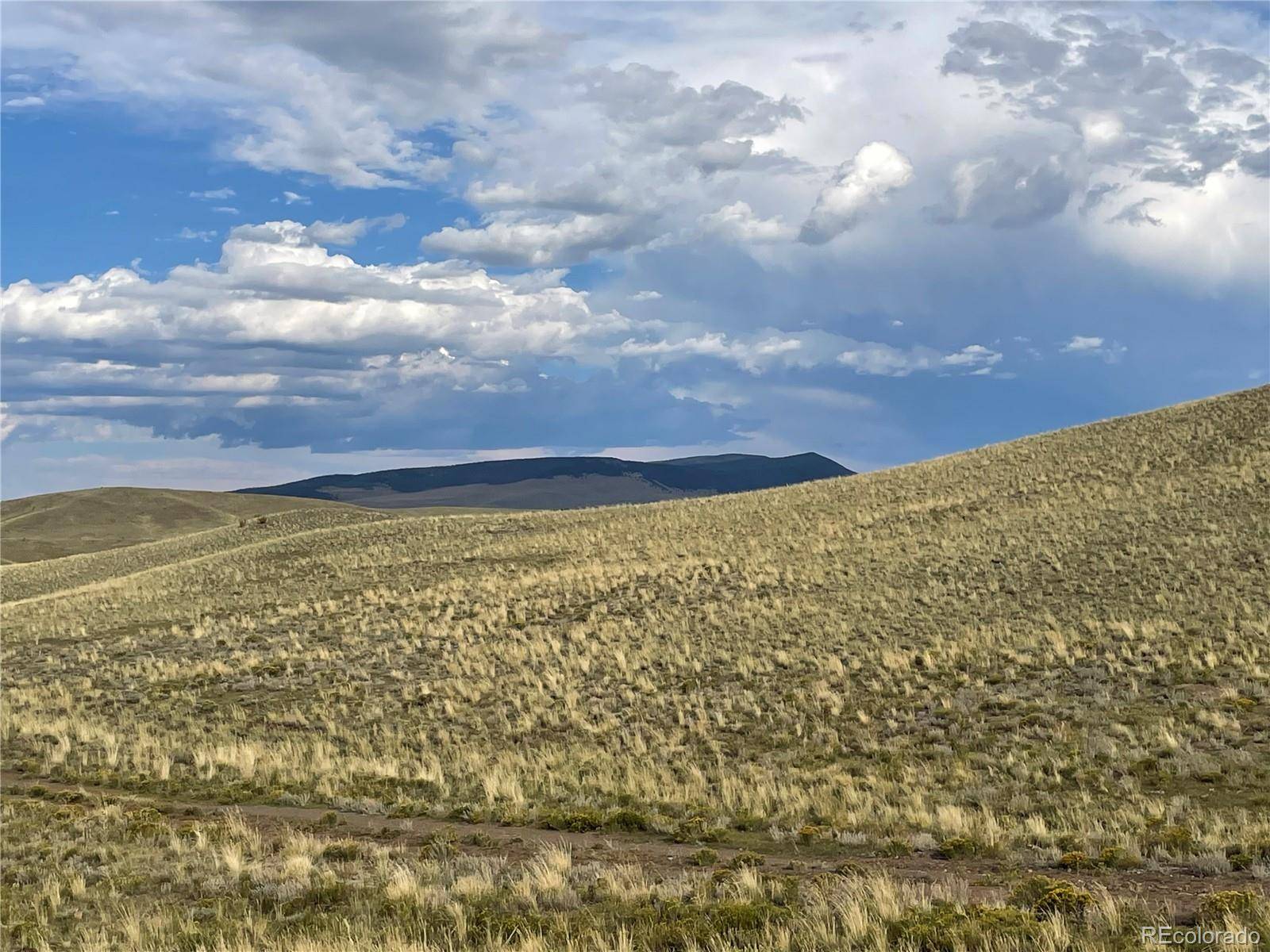 Hartsel, CO 80449,000 Taos TRL