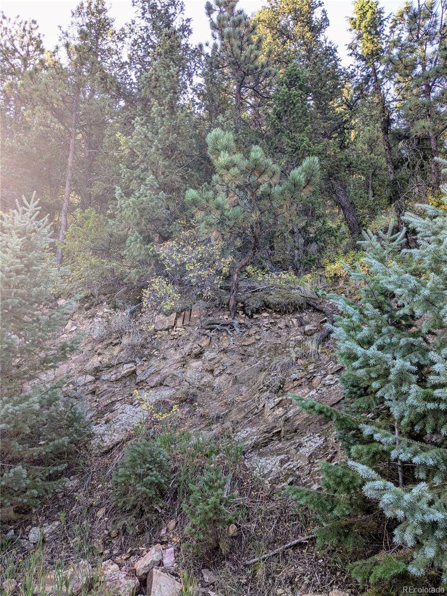 Idaho Springs, CO 80452,Divide View DR