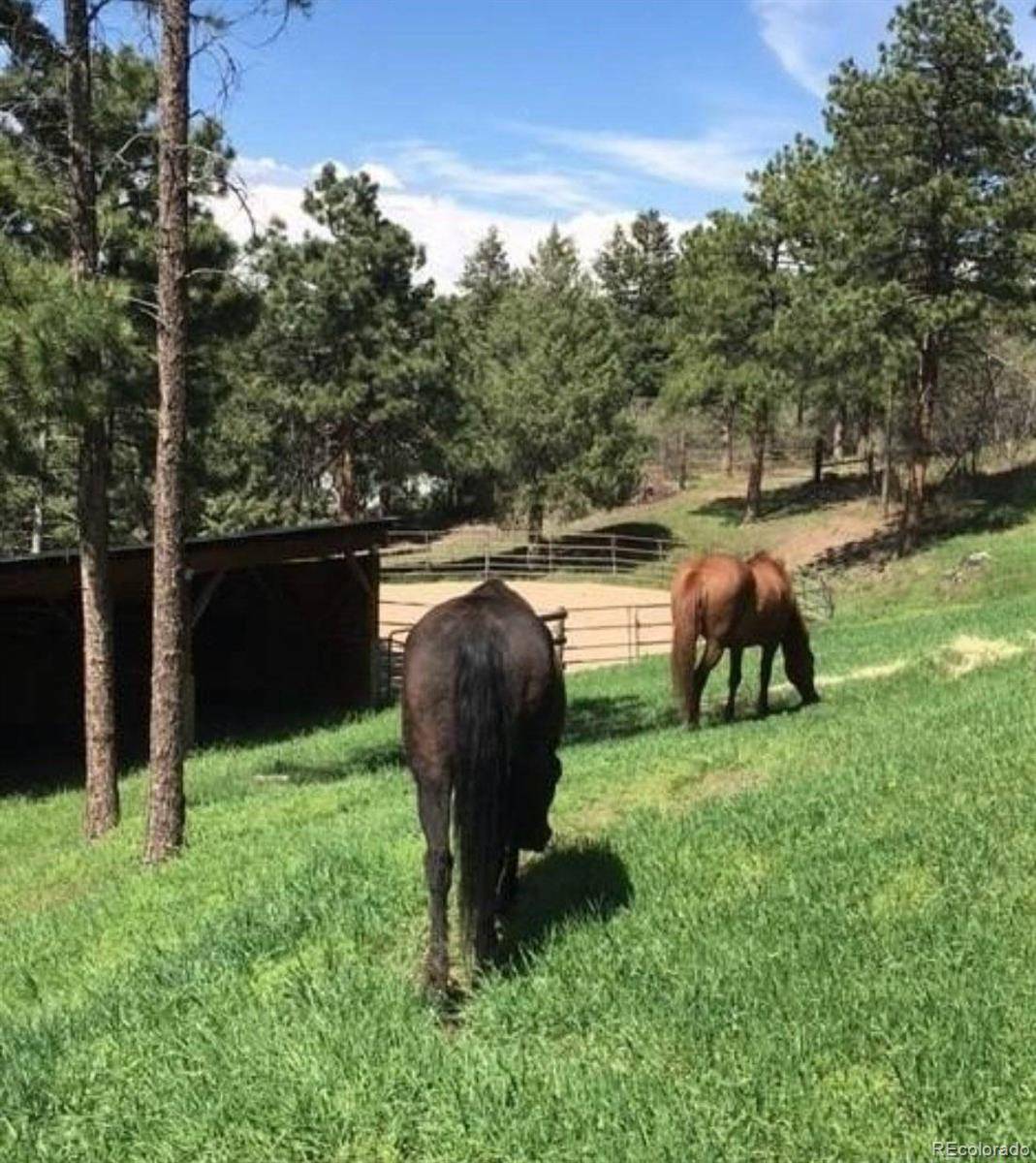Littleton, CO 80127,10381 Hondah DR