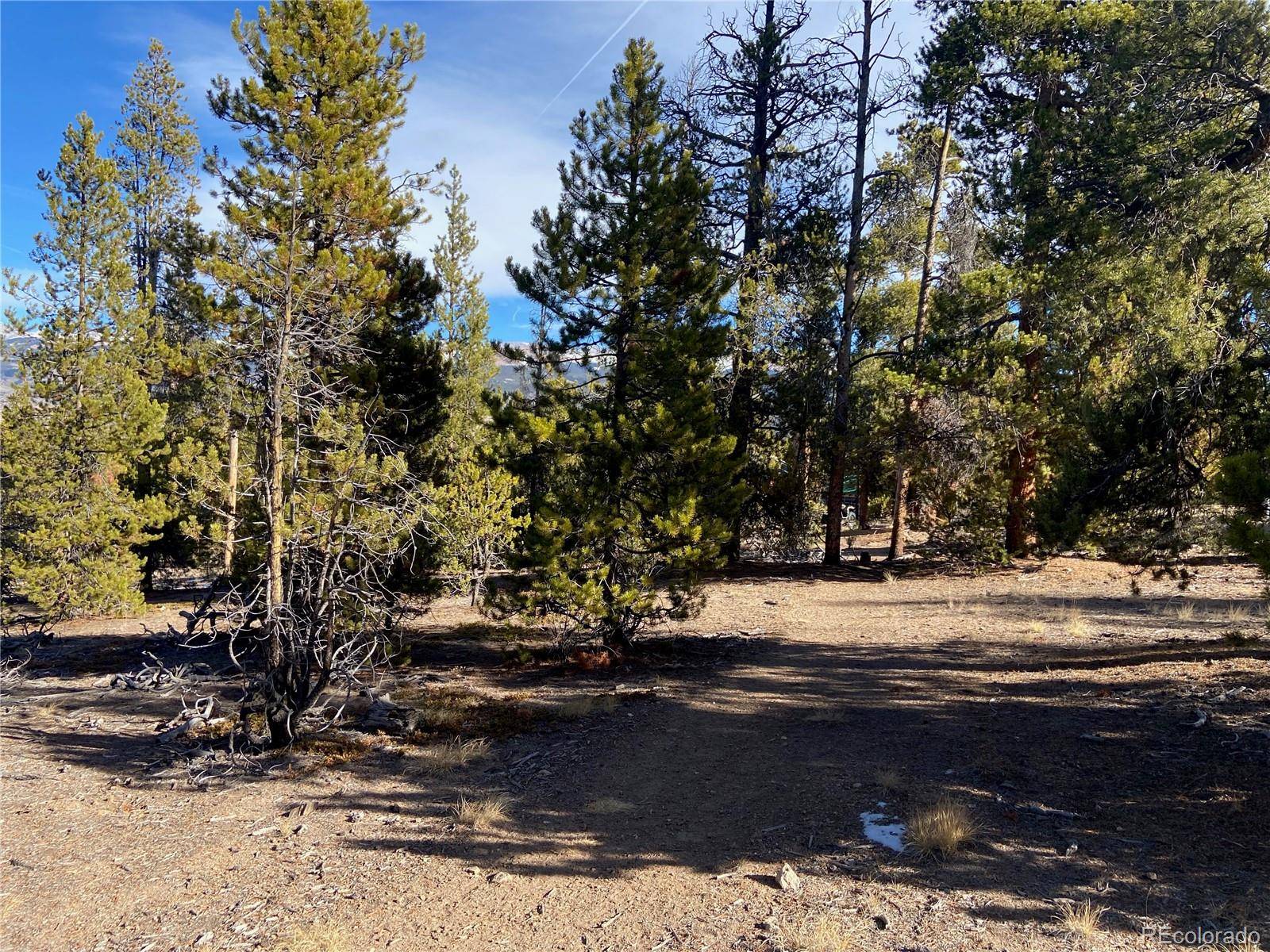 Twin Lakes, CO 81251,285 Lodgepole DR