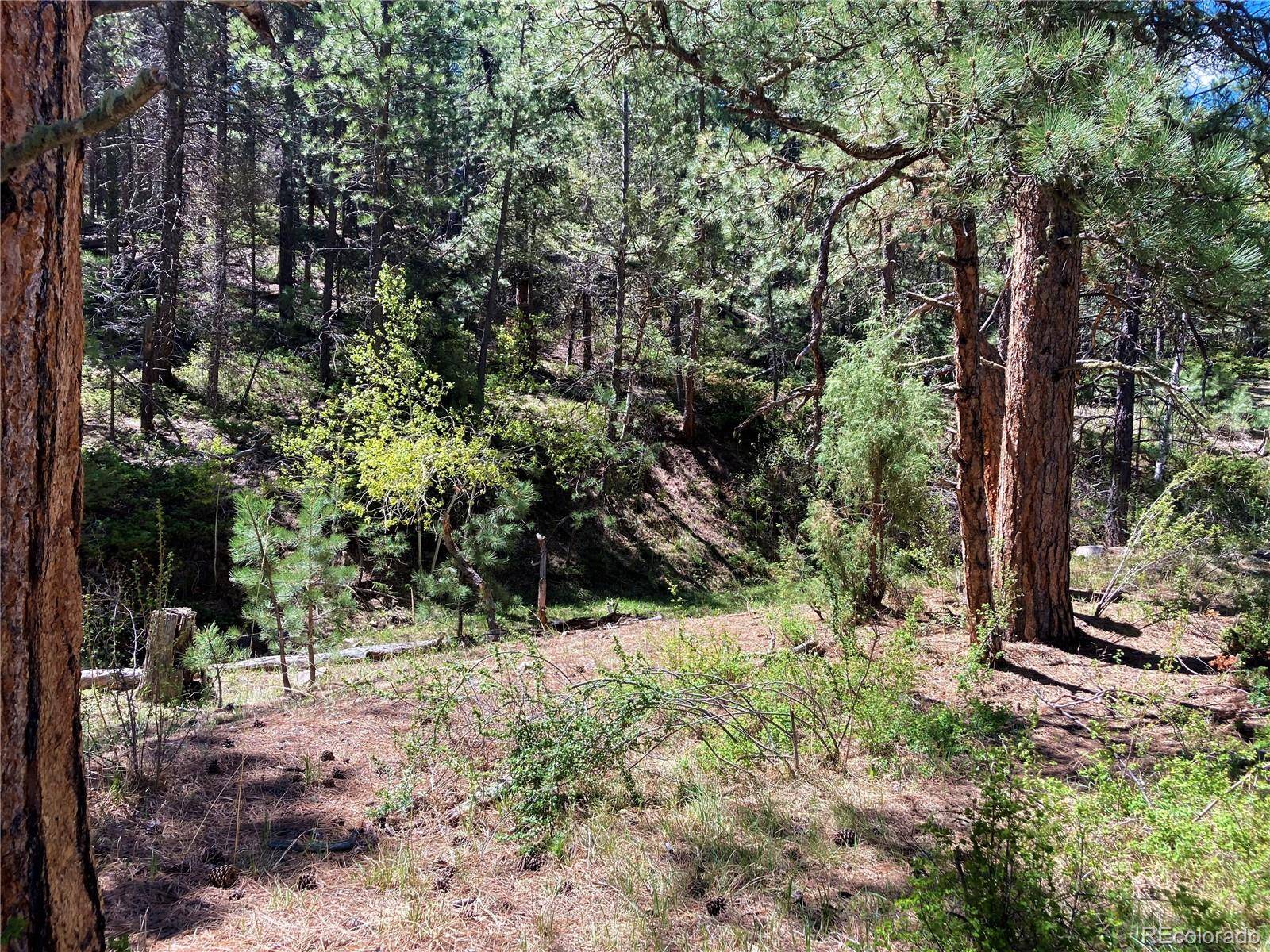 Canon City, CO 81212,TBD Lot 74 Tallahassee Trail