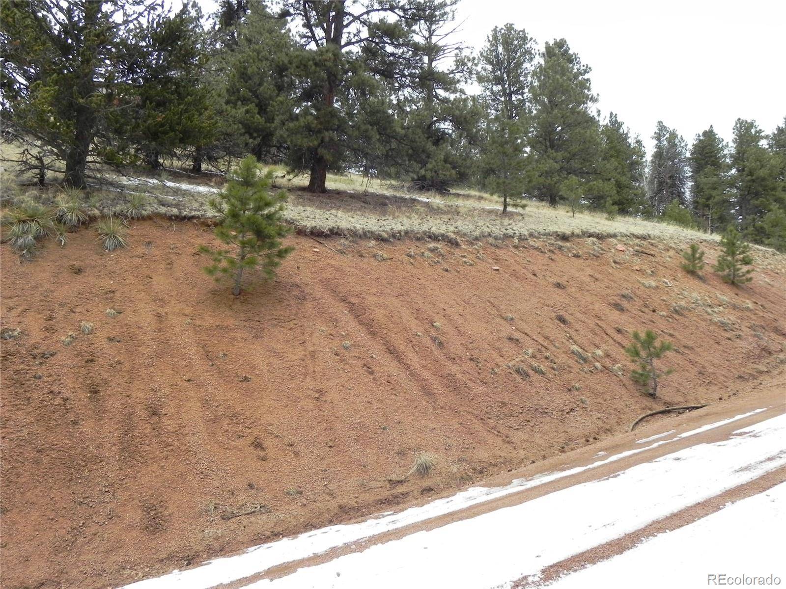 Cripple Creek, CO 80813,153 Idlewild DR