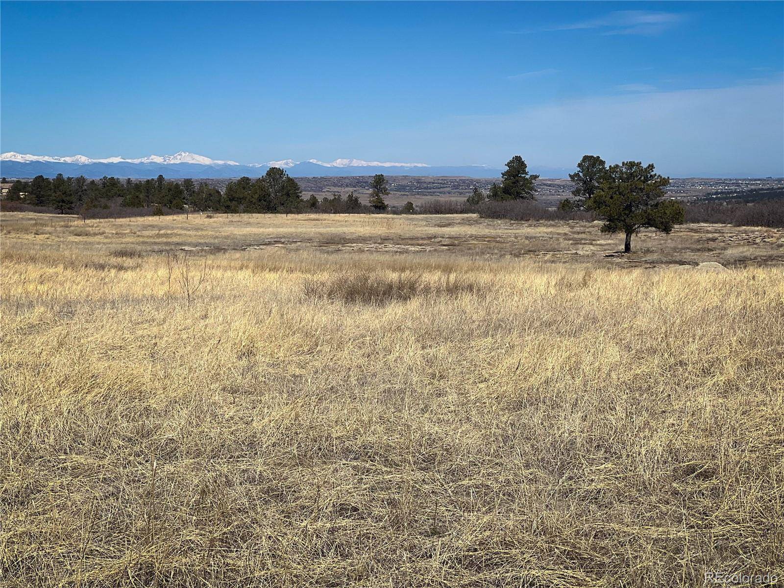 Franktown, CO 80116,0 Polo Pony CIR