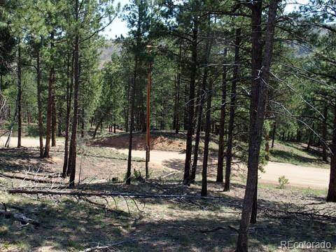 Woodland Park, CO 80863,15421 Westcreek RD