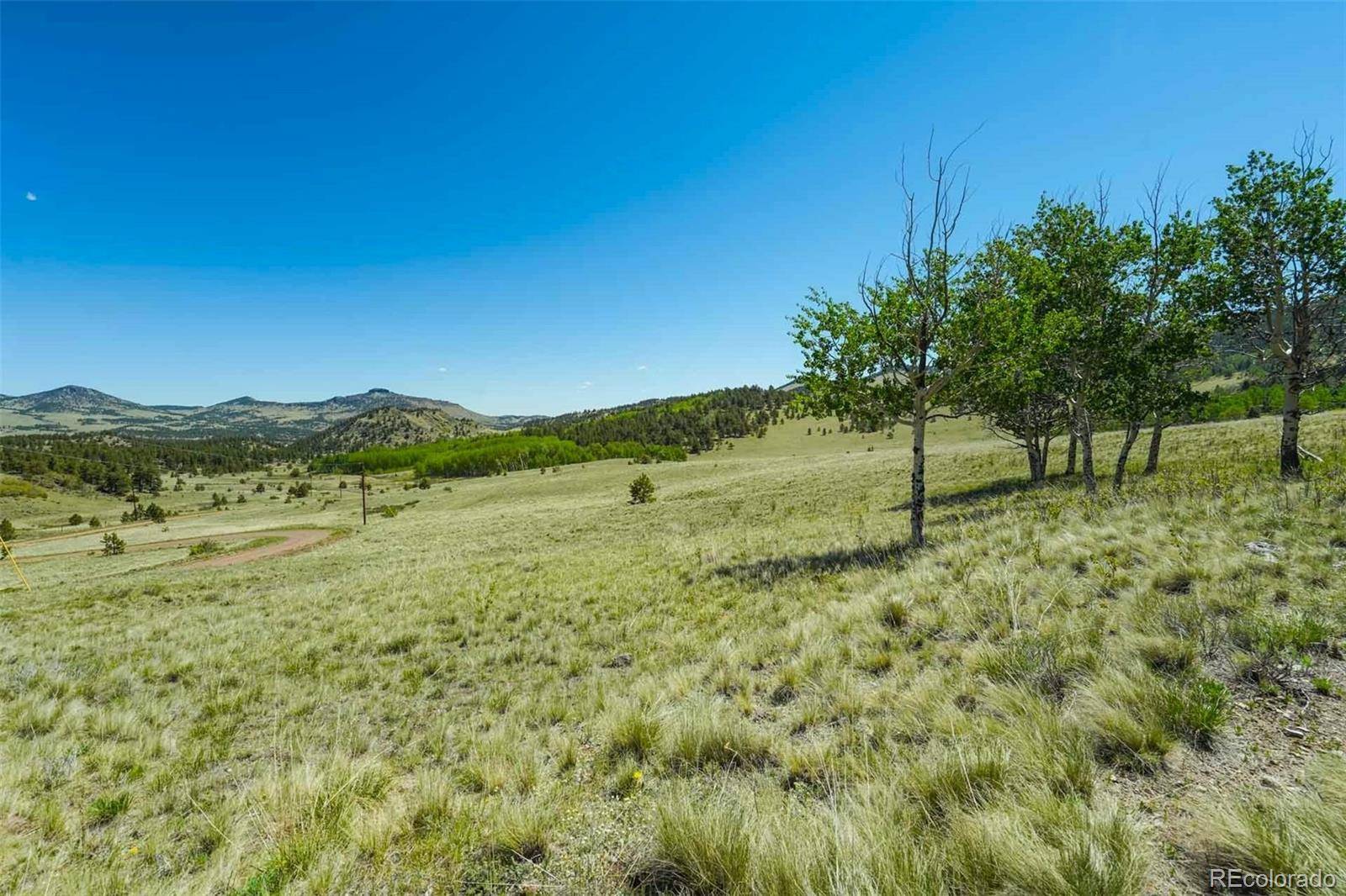 Guffey, CO 80820,1354 Greta Valley RD