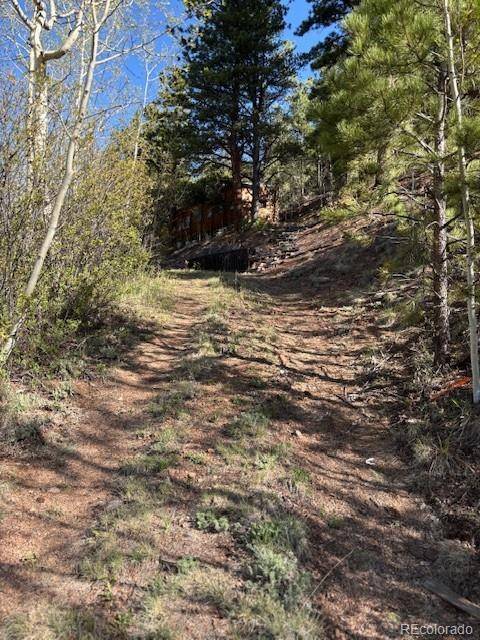 Bailey, CO 80421,7394 County Road 43