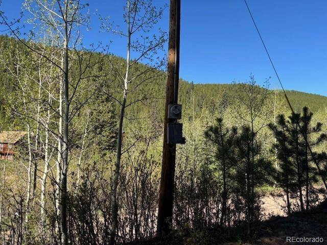 Bailey, CO 80421,7394 County Road 43