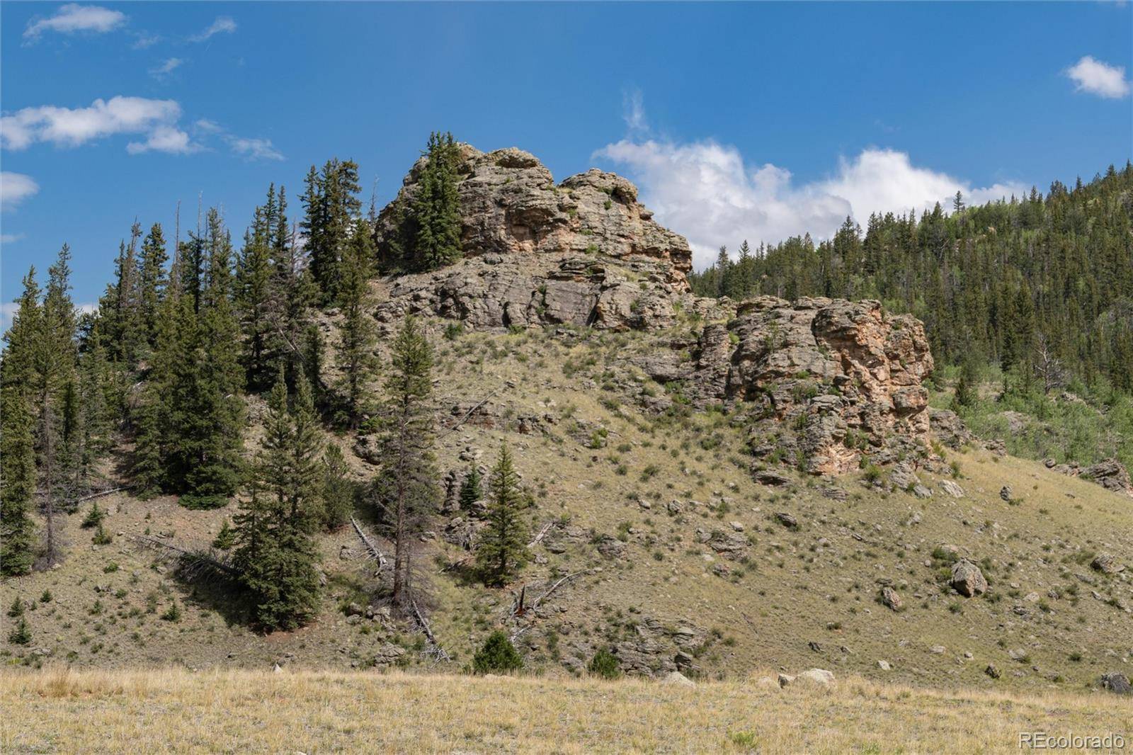 Como, CO 80432,63 Welsh Cob LN