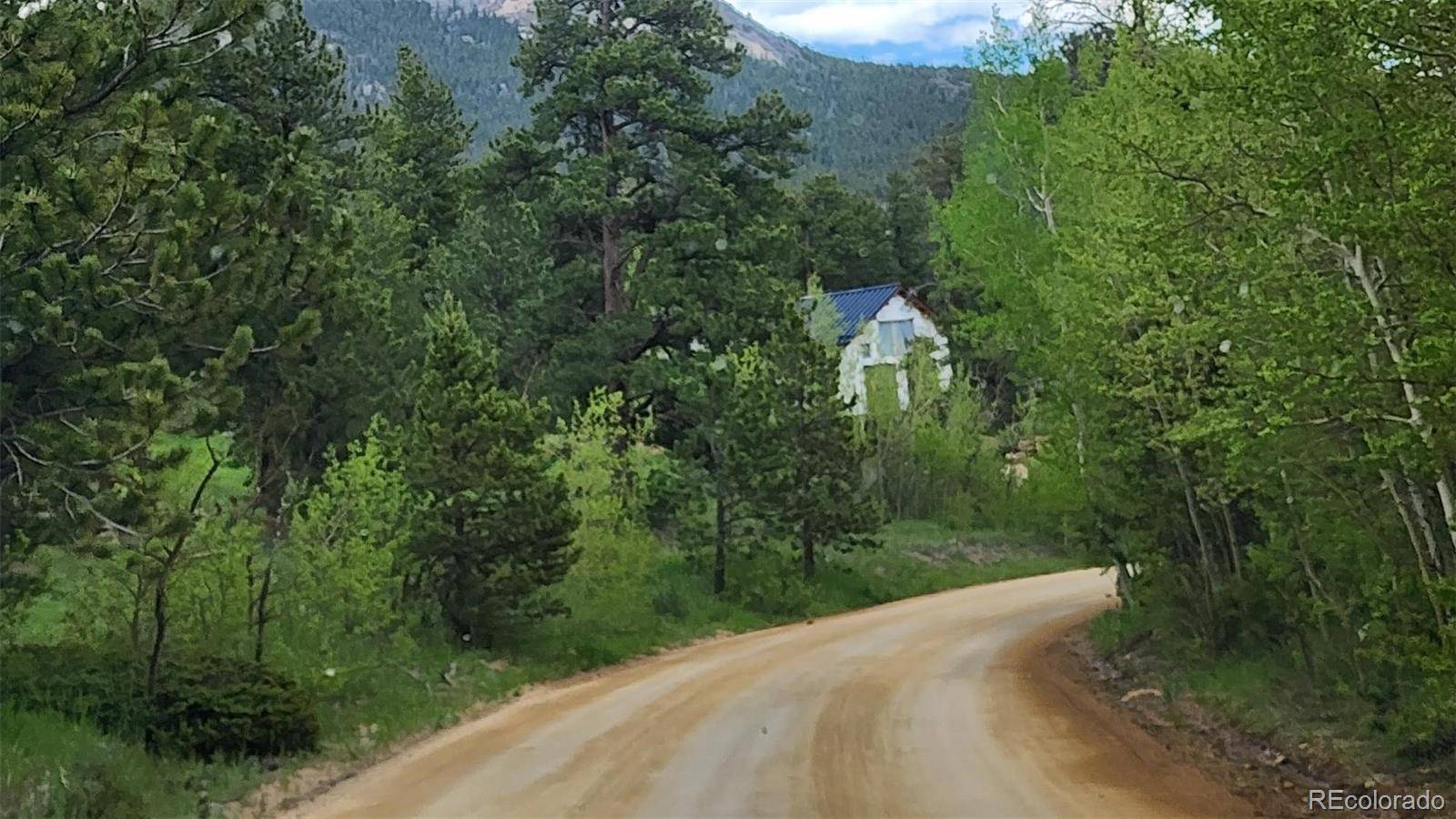 Allenspark, CO 80510,256 Fisk Fenner RD