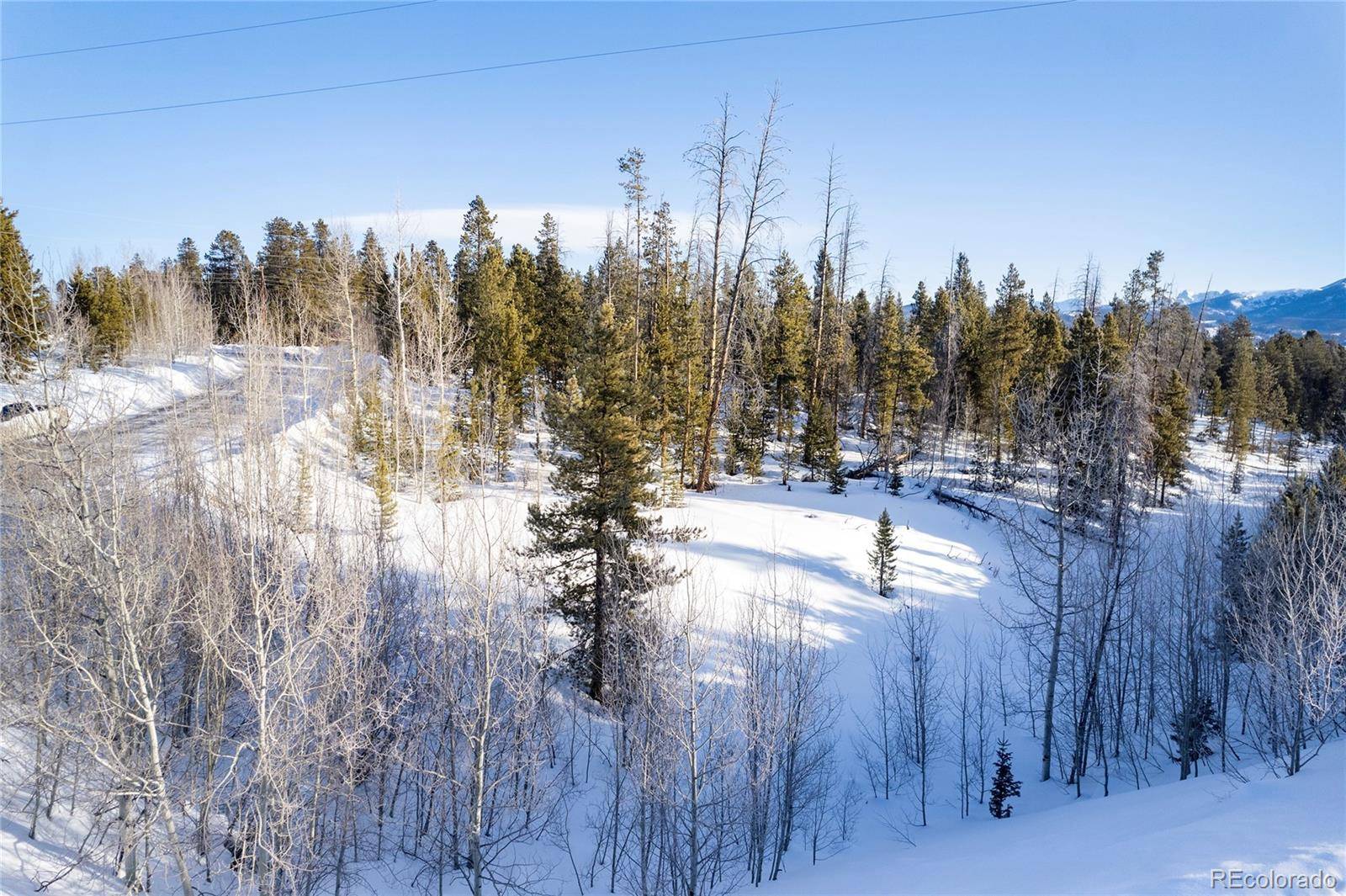 Fraser, CO 80442,74 S Frosty DR