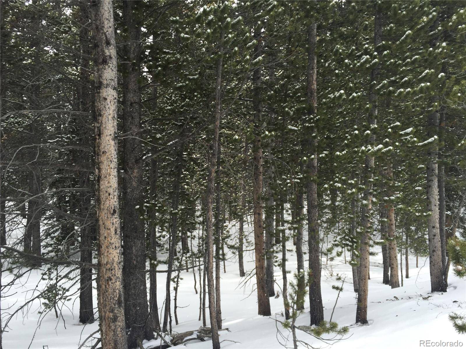 Idaho Springs, CO 80452,Alice Road