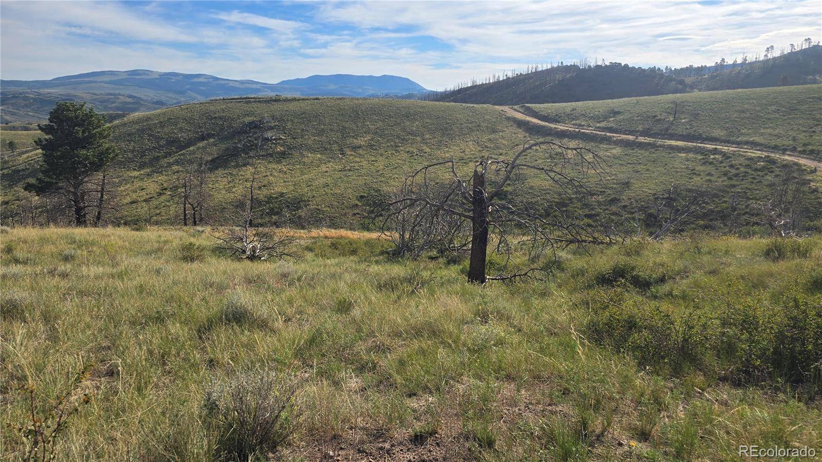 Fort Garland, CO 81133,Lot 7719 Hallstein RD