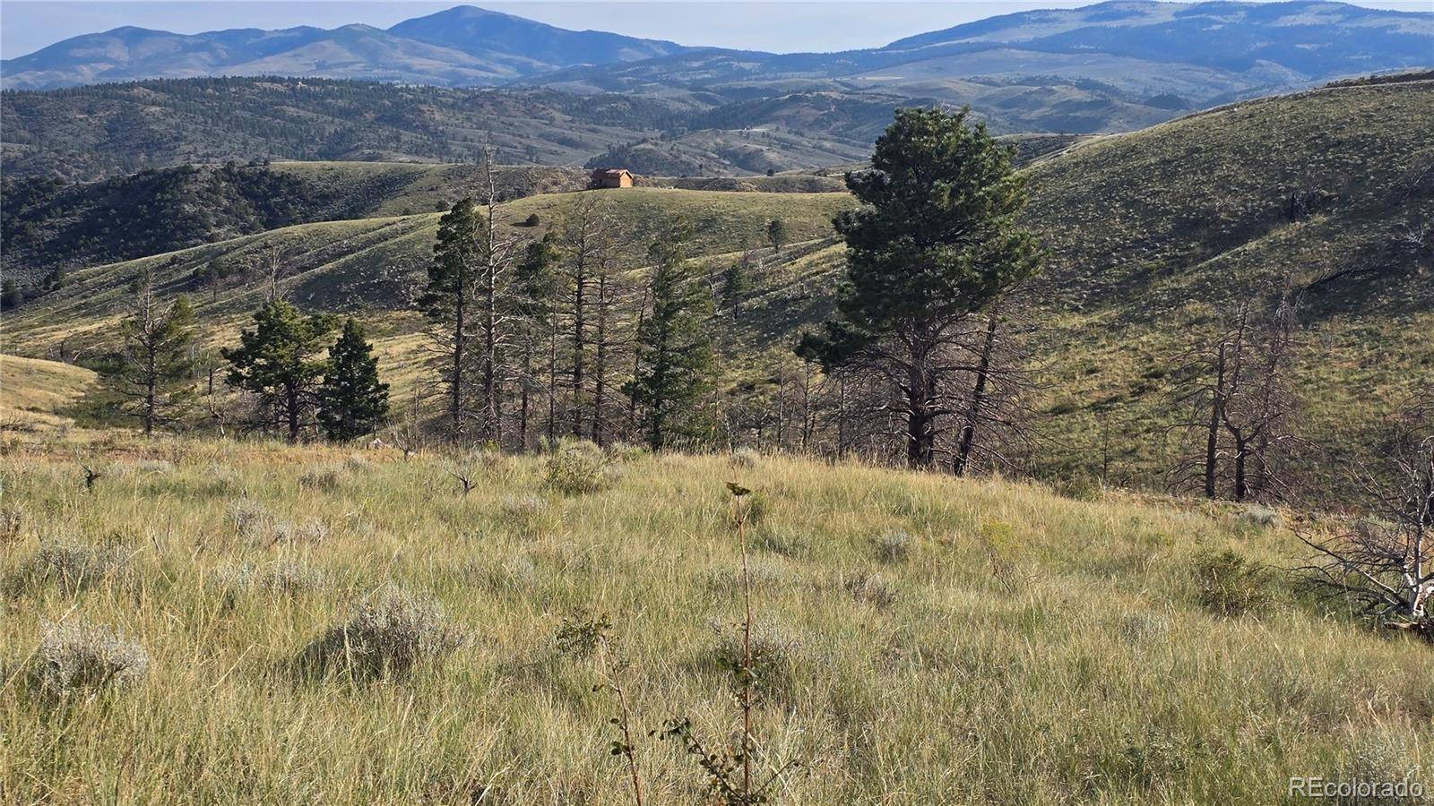 Fort Garland, CO 81133,Lot 7719 Hallstein RD