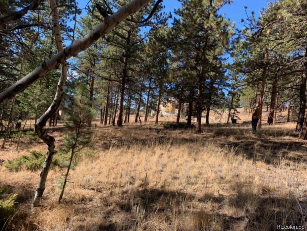 Woodland Park, CO 80863,271 Thunder RDG