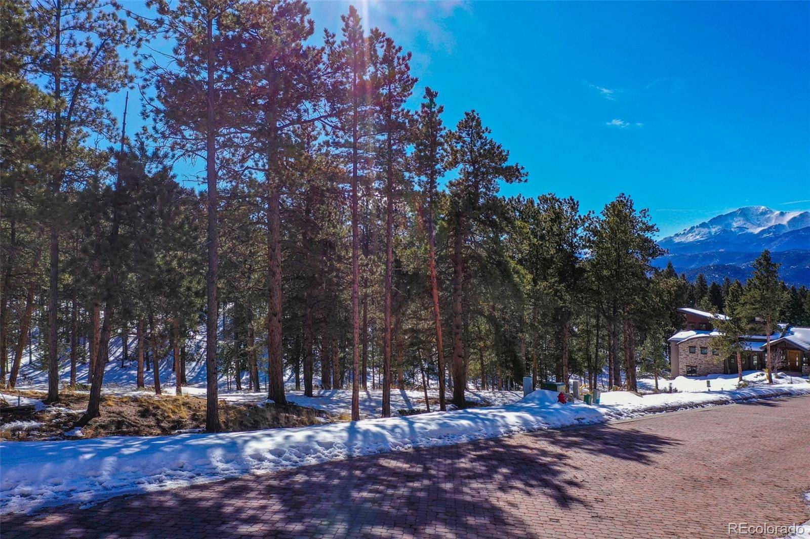 Woodland Park, CO 80863,271 Thunder RDG