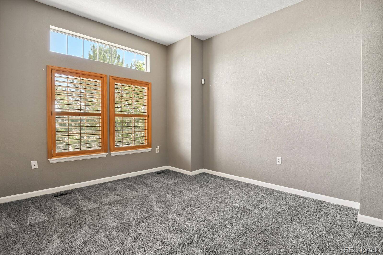 Castle Rock, CO 80109,1484 Nemrick PL