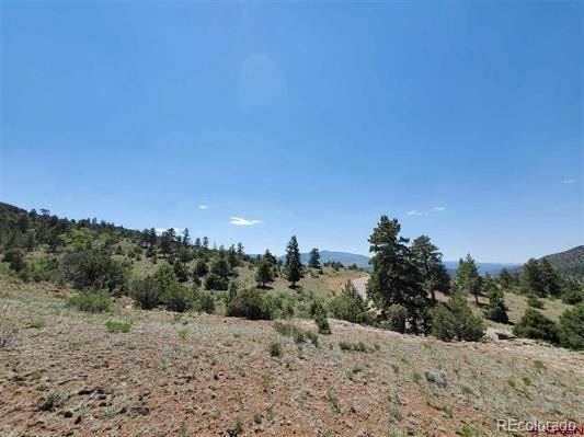 South Fork, CO 81154,3186 Bear Creek CIR