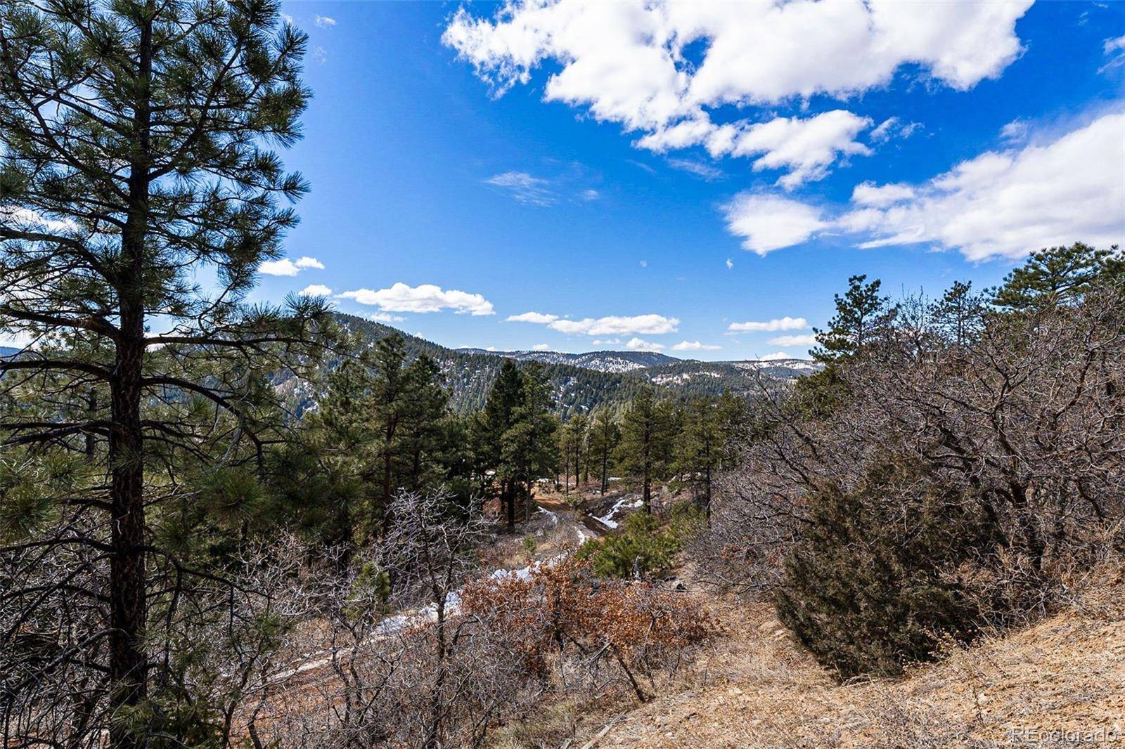 Littleton, CO 80127,15111 Elk Mountain TRL