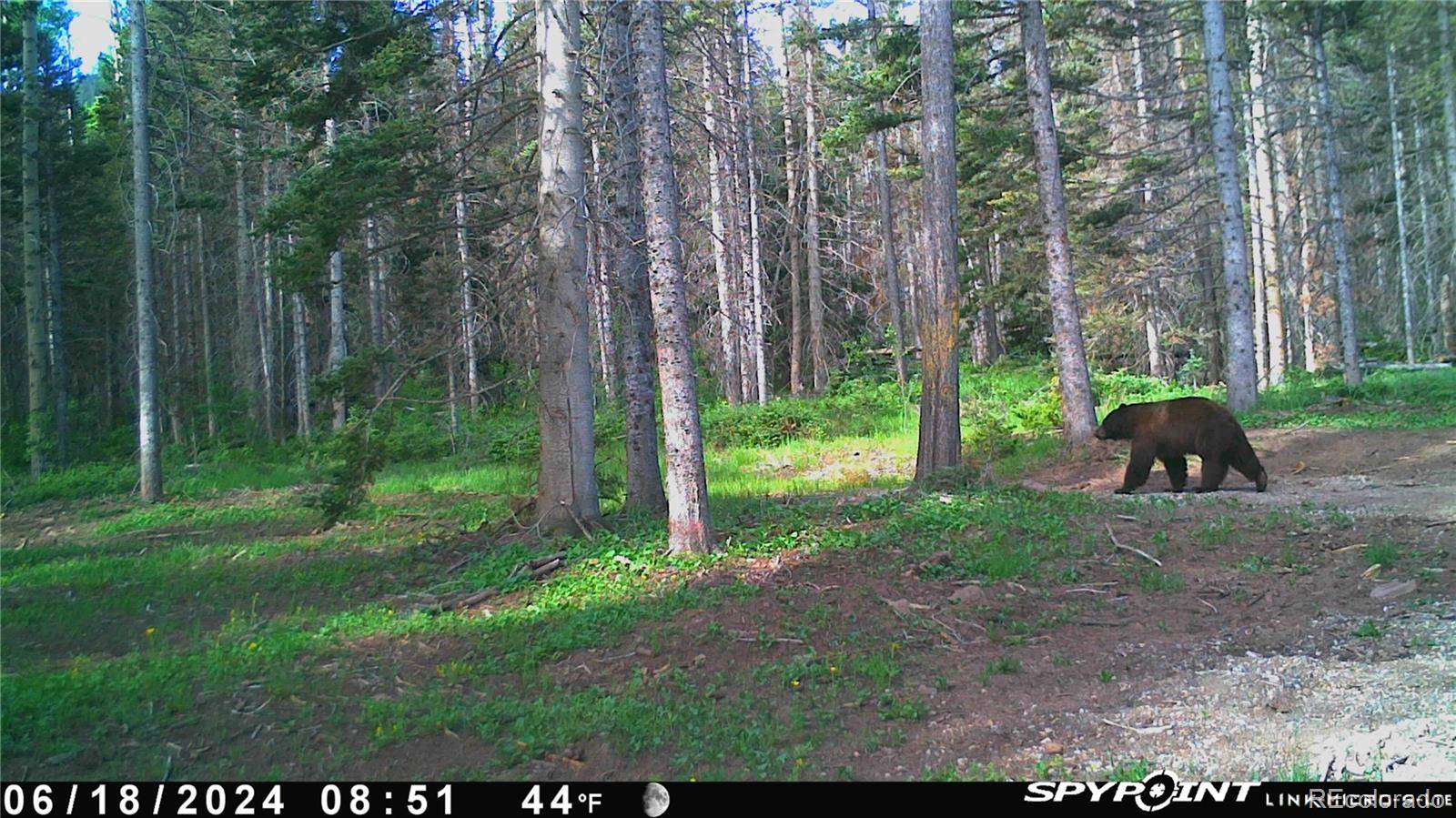 Fort Garland, CO 81133,3388 Elicker DR