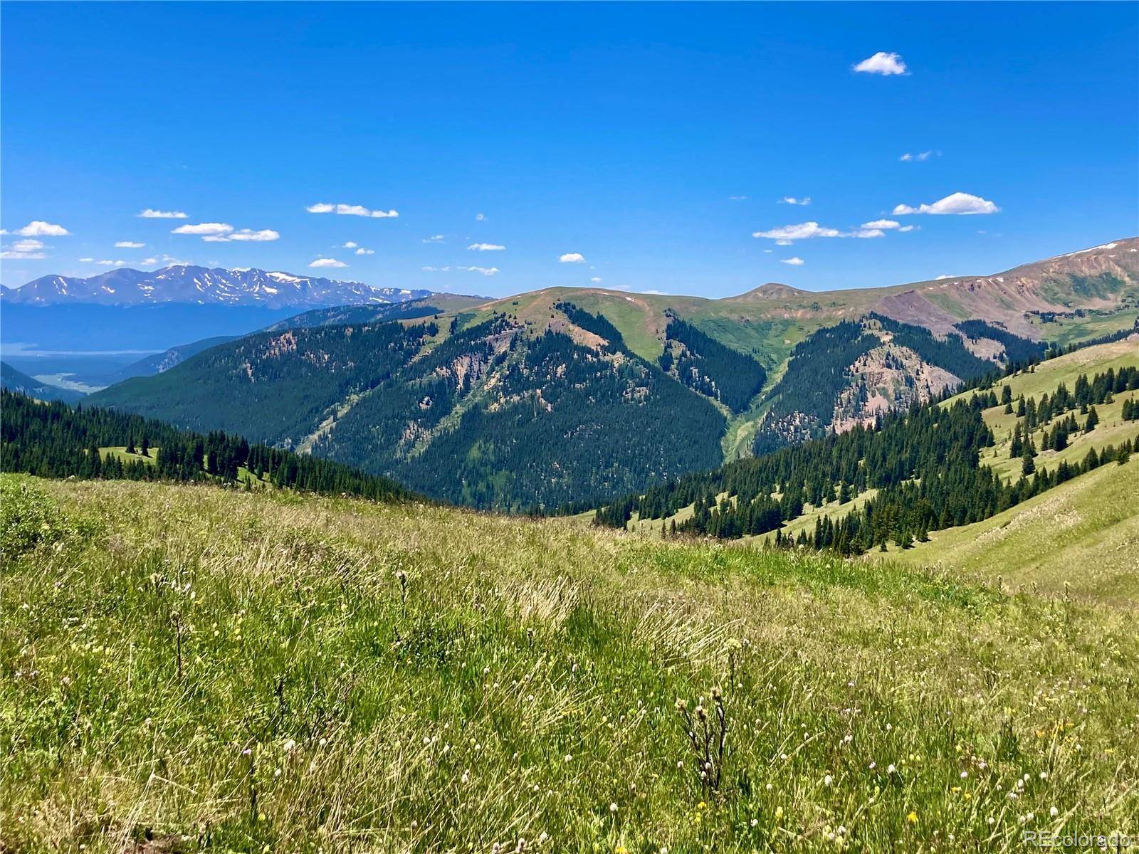 Leadville, CO 80461,7259 #2-3 La Plata